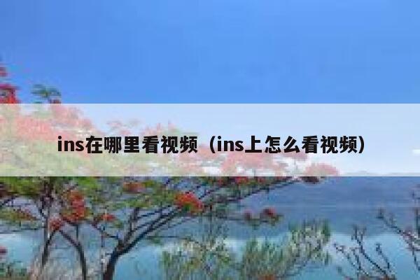 ins在哪里看视频(ins上怎么看视频) 第1张 ins在哪里看视频(ins上怎么看视频) 第1张