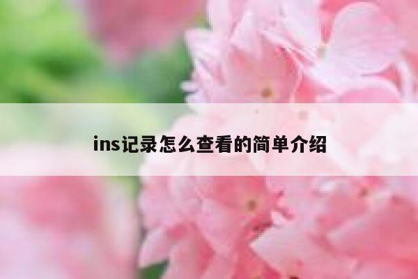 ins记录怎么查看的简单介绍 第1张