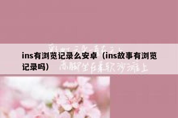 ins有浏览记录么安卓(ins故事有浏览记录吗) 第1张 ins有浏览记录么安卓(ins故事有浏览记录吗) 第1张