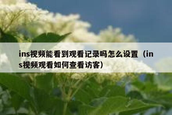 ins视频能看到观看记录吗怎么设置（ins视频观看如何查看访客） 第1张