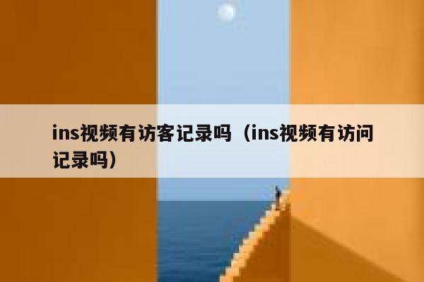 ins视频有访客记录吗（ins视频有访问记录吗） 第1张