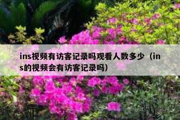 ins视频有访客记录吗观看人数多少（ins的视频会有访客记录吗） 第1张