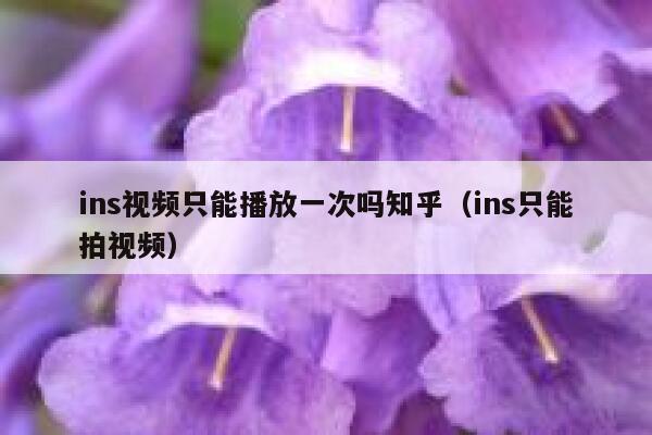 ins视频只能播放一次吗知乎（ins只能拍视频） 第1张