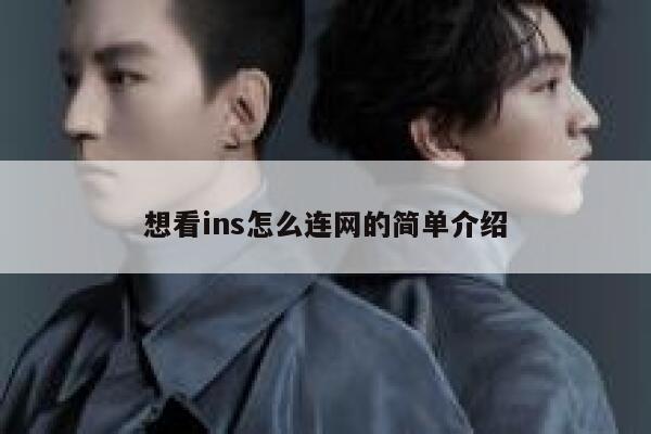 想看ins怎么连网的简单介绍 第1张 想看ins怎么连网的简单介绍 第1张