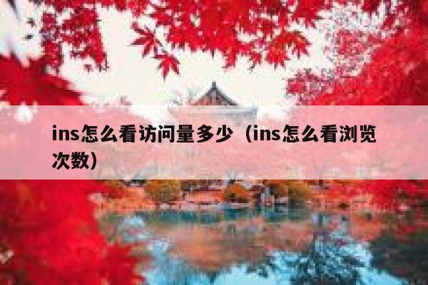 ins怎么看访问量多少（ins怎么看浏览次数） 第1张