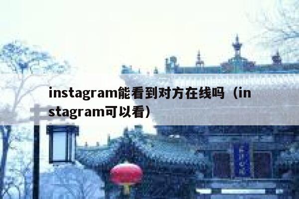 instagram能看到对方在线吗（instagram可以看） 第1张