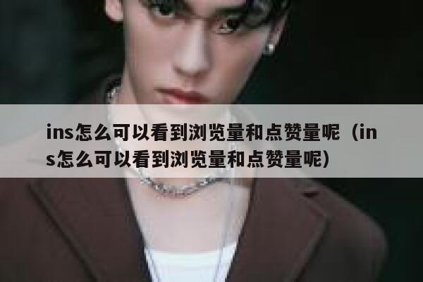 ins怎么可以看到浏览量和点赞量呢（ins怎么可以看到浏览量和点赞量呢） 第1张