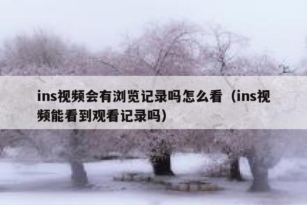 ins视频会有浏览记录吗怎么看（ins视频能看到观看记录吗） 第1张