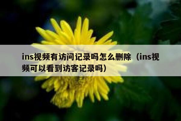 ins视频有访问记录吗怎么删除（ins视频可以看到访客记录吗） 第1张