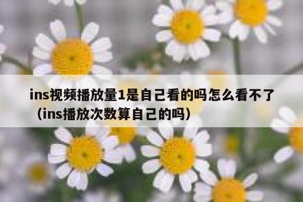 ins视频播放量1是自己看的吗怎么看不了（ins播放次数算自己的吗） 第1张