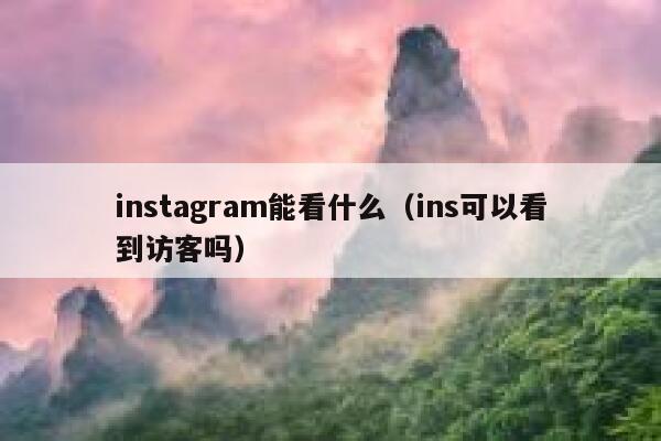 instagram能看什么（ins可以看到访客吗） 第1张