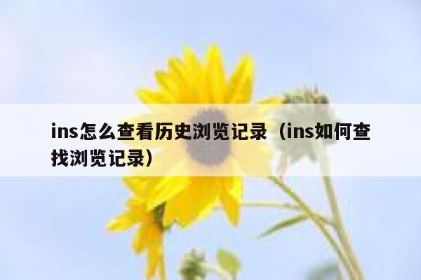 ins怎么查看历史浏览记录（ins如何查找浏览记录） 第1张
