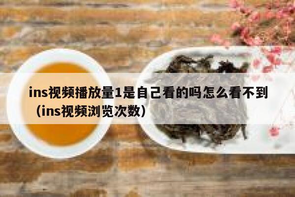 ins视频播放量1是自己看的吗怎么看不到（ins视频浏览次数） 第1张