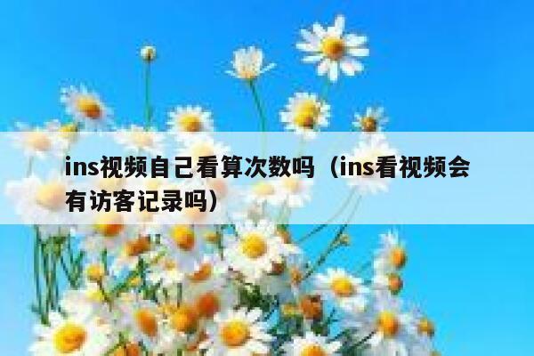 ins视频自己看算次数吗（ins看视频会有访客记录吗） 第1张