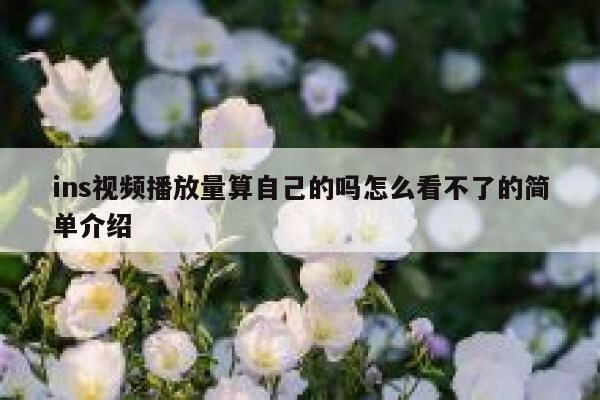 ins视频播放量算自己的吗怎么看不了的简单介绍 第1张