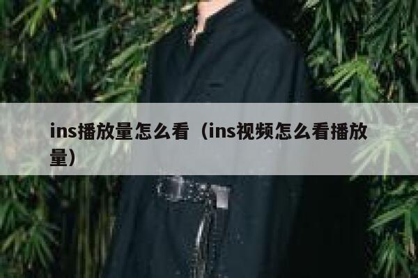 ins播放量怎么看（ins视频怎么看播放量） 第1张