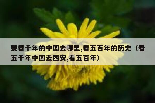 要看千年的中国去哪里,看五百年的历史(看五千年中国去西安,看五百年) 第1张 要看千年的中国去哪里,看五百年的历史(看五千年中国去西安,看五百年) 第1张