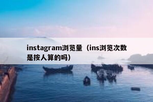 instagram浏览量（ins浏览次数是按人算的吗） 第1张