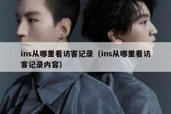 ins从哪里看访客记录(ins从哪里看访客记录内容) 第1张 ins从哪里看访客记录(ins从哪里看访客记录内容) 第1张