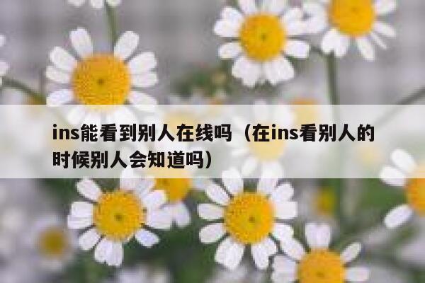 ins能看到别人在线吗（在ins看别人的时候别人会知道吗） 第1张