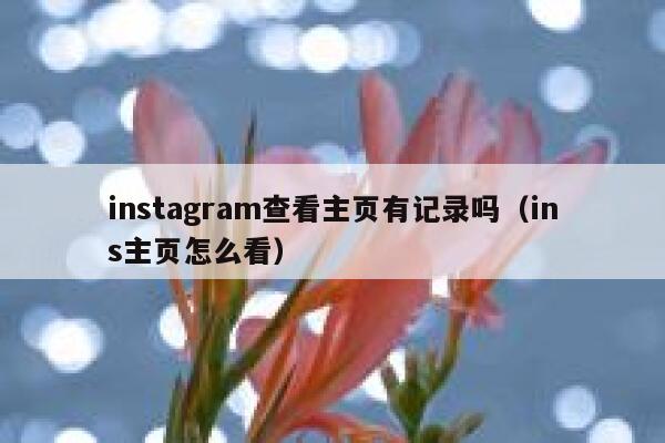 instagram查看主页有记录吗(ins主页怎么看) 第1张 instagram查看主页有记录吗(ins主页怎么看) 第1张