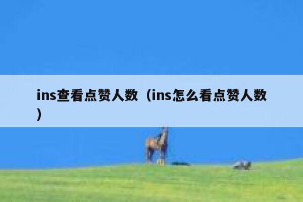 ins查看点赞人数（ins怎么看点赞人数） 第1张