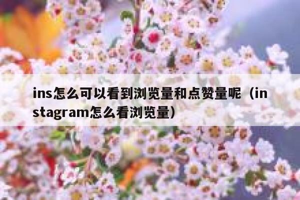ins怎么可以看到浏览量和点赞量呢（instagram怎么看浏览量） 第1张