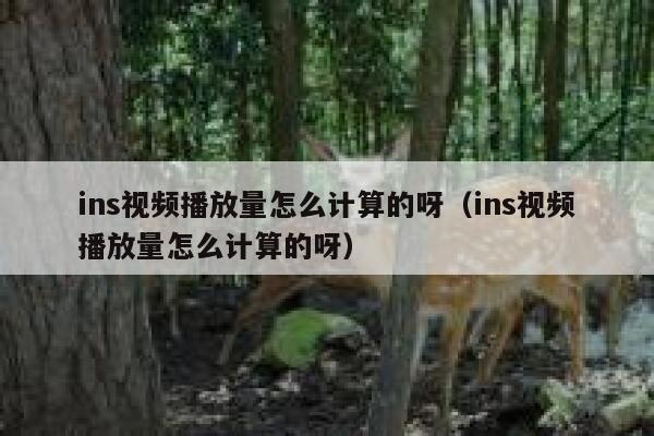 ins视频播放量怎么计算的呀(ins视频播放量怎么计算的呀) 第1张 ins视频播放量怎么计算的呀(ins视频播放量怎么计算的呀) 第1张