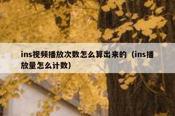 ins视频播放次数怎么算出来的(ins播放量怎么计数) 第1张 ins视频播放次数怎么算出来的(ins播放量怎么计数) 第1张