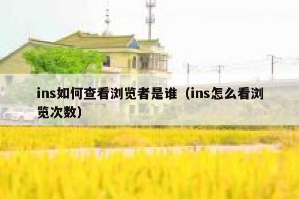 ins如何查看浏览者是谁(ins怎么看浏览次数) 第1张 ins如何查看浏览者是谁(ins怎么看浏览次数) 第1张