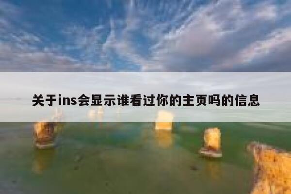 关于ins会显示谁看过你的主页吗的信息 第1张 关于ins会显示谁看过你的主页吗的信息 第1张