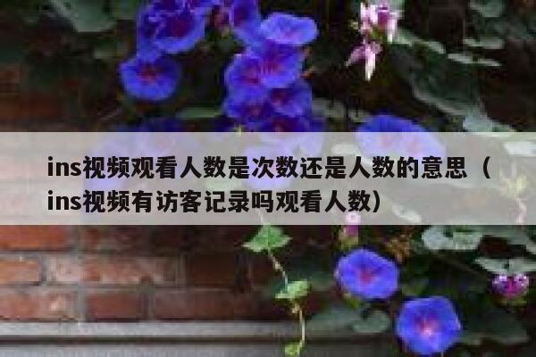 ins视频观看人数是次数还是人数的意思(ins视频有访客记录吗观看人数) 第1张 ins视频观看人数是次数还是人数的意思(ins视频有访客记录吗观看人数) 第1张