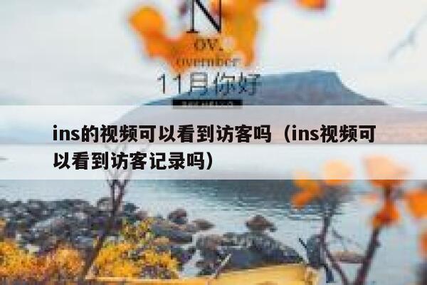 ins的视频可以看到访客吗（ins视频可以看到访客记录吗） 第1张
