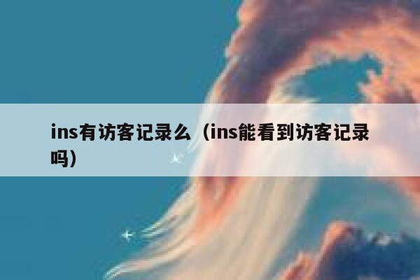 ins有访客记录么（ins能看到访客记录吗） 第1张