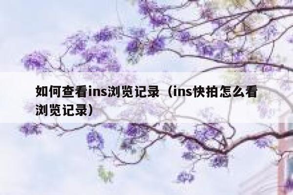 如何查看ins浏览记录（ins快拍怎么看浏览记录） 第1张