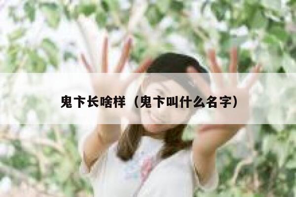 鬼卞长啥样（鬼卞叫什么名字） 第1张