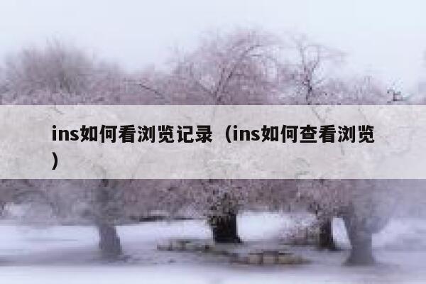ins如何看浏览记录（ins如何查看浏览） 第1张