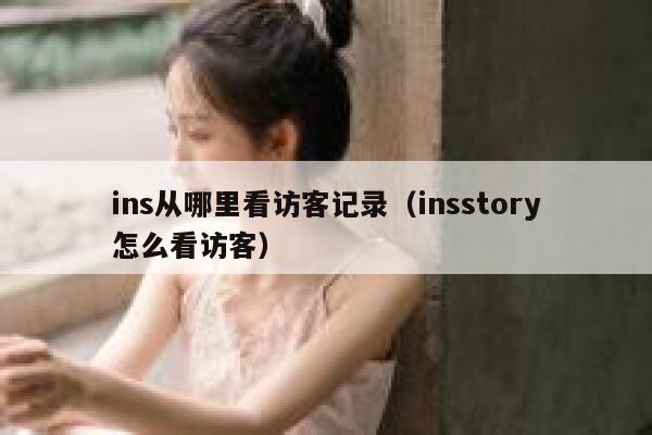 ins从哪里看访客记录（insstory怎么看访客） 第1张