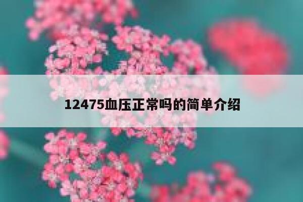 12475血压正常吗的简单介绍 第1张