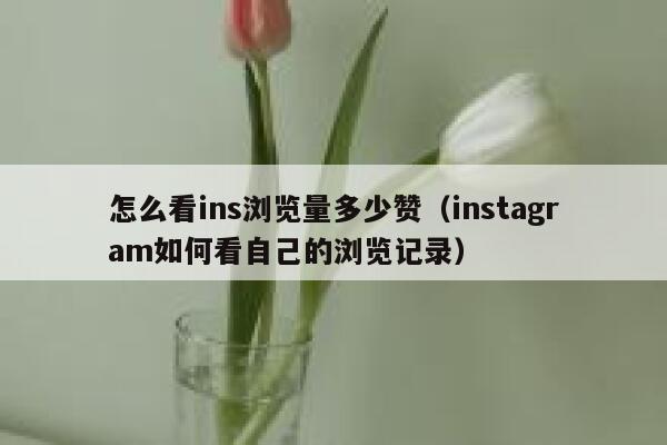 怎么看ins浏览量多少赞(instagram如何看自己的浏览记录) 第1张 怎么看ins浏览量多少赞(instagram如何看自己的浏览记录) 第1张