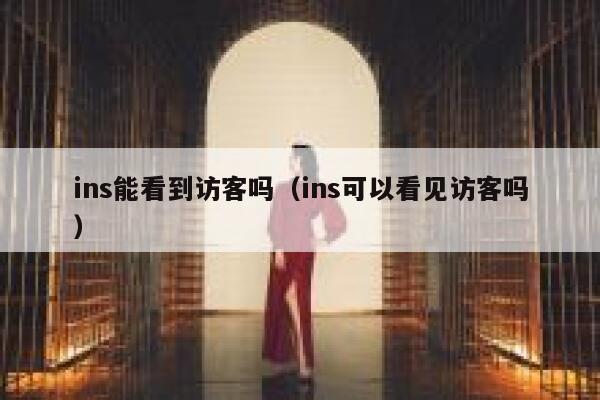 ins能看到访客吗（ins可以看见访客吗） 第1张