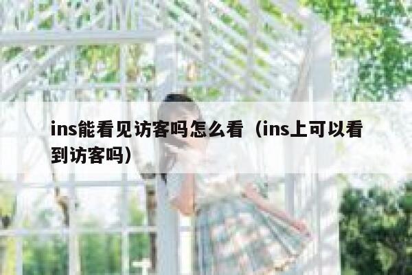 ins能看见访客吗怎么看（ins上可以看到访客吗） 第1张