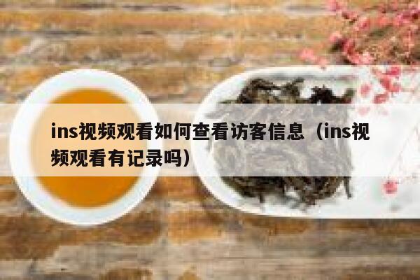 ins视频观看如何查看访客信息（ins视频观看有记录吗） 第1张