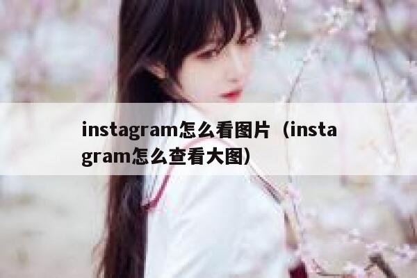 instagram怎么看图片(instagram怎么查看大图) 第1张 instagram怎么看图片(instagram怎么查看大图) 第1张