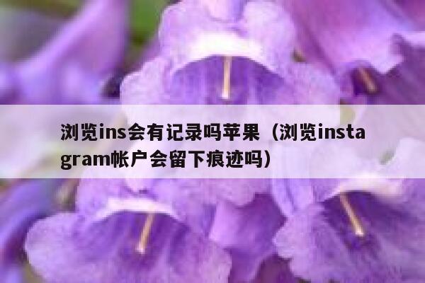 浏览ins会有记录吗苹果(浏览instagram帐户会留下痕迹吗) 第1张 浏览ins会有记录吗苹果(浏览instagram帐户会留下痕迹吗) 第1张