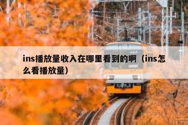 ins播放量收入在哪里看到的啊(ins怎么看播放量) 第1张 ins播放量收入在哪里看到的啊(ins怎么看播放量) 第1张