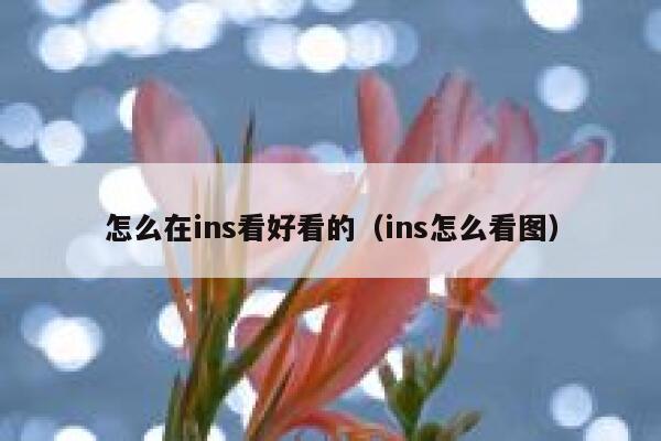 怎么在ins看好看的（ins怎么看图） 第1张