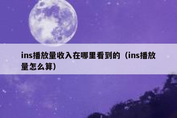ins播放量收入在哪里看到的（ins播放量怎么算） 第1张