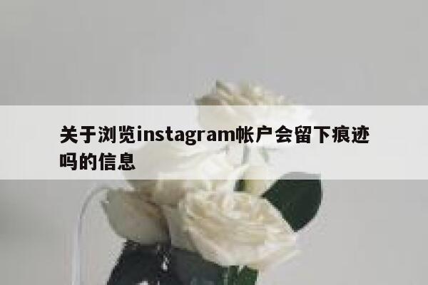 关于浏览instagram帐户会留下痕迹吗的信息 第1张 关于浏览instagram帐户会留下痕迹吗的信息 第1张