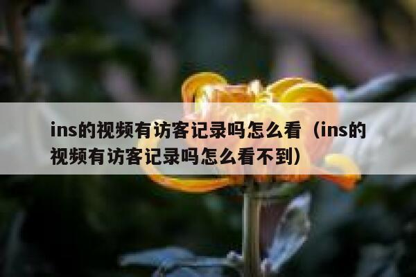 ins的视频有访客记录吗怎么看（ins的视频有访客记录吗怎么看不到） 第1张